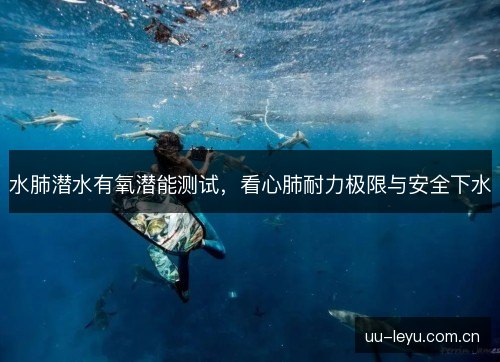 水肺潜水有氧潜能测试，看心肺耐力极限与安全下水