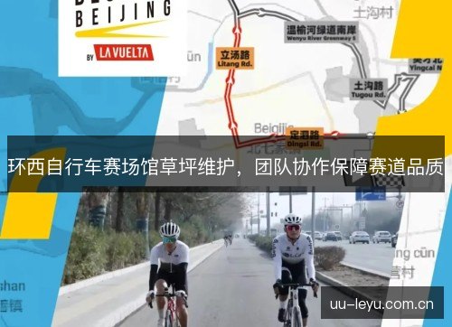 环西自行车赛场馆草坪维护，团队协作保障赛道品质